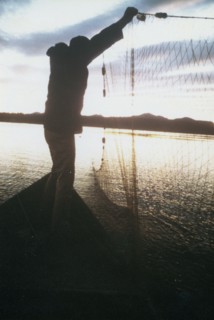 Fishing for whitefish along Kobuk River near the village of Ambler ca. 1973-1975