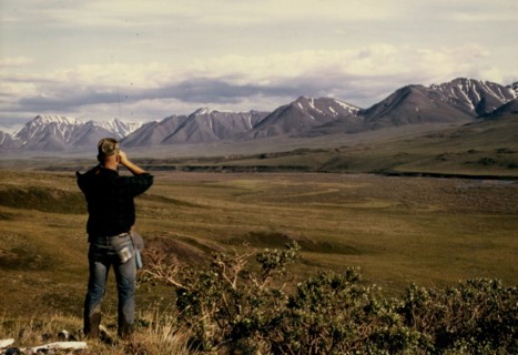 Easter Creek Valley near Killik River July 3, 1973