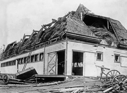 Geneva New York Cyclone Damage - Cow barn unroofed, Geneva, N.Y., Cyclone ca. 1910-1915