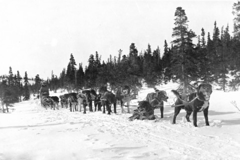 Erick Johnson U.S. mail team at Portage Creek, Alaska 1900-1927