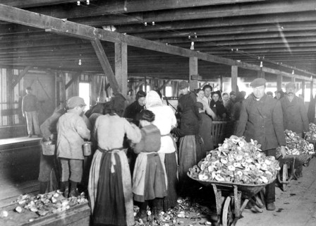 Shucking oysters in Alabama Canning Co. Small boy in left is Mike Murphy, ten years old, February 1911