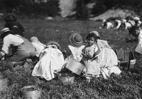 Young pickers on Swift's Bog. All working, September 1911