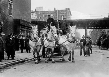 Hook and ladder #7 Firemen ca. 1910-1915