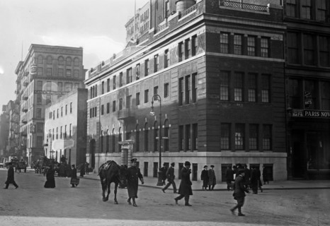 Hospital of N.Y. Women's League for Animals  ca. 1914