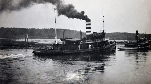 Tugboat A. J. Stone on the Cape Cod Canal 6/26/1915