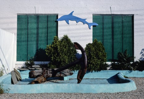 1980s America -   Aquarium, Provincetown, Massachusetts 1984