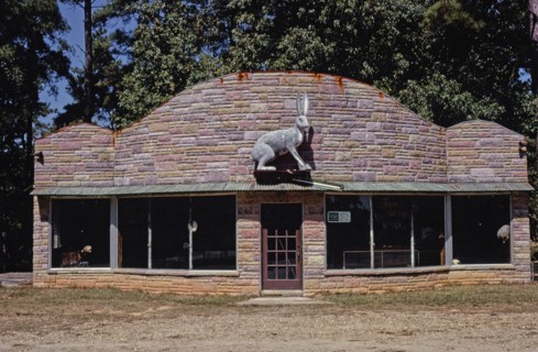 1970s America -   Brown's Taxidermy Studio, El Dorado, Arkansas 1979