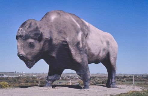1980s America -   World's Largest Buffalo, Jamestown, North Dakota 1980