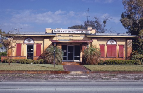 1970s America -  Tampa Veterinary Hospital, Tampa, Florida 1979