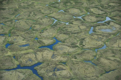 Ice wedge polygons on the north slope of Alaska ca. July 2010