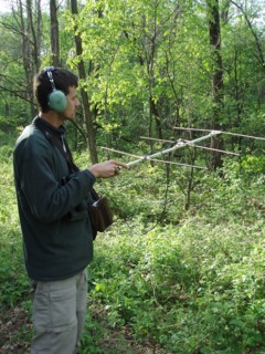 A researcher tracks a radio-tagged yellow-rumped warbler to determine habitat use and length of stay during migration stopover at Trempealeau National Wildlife Refuge ca. 2010
