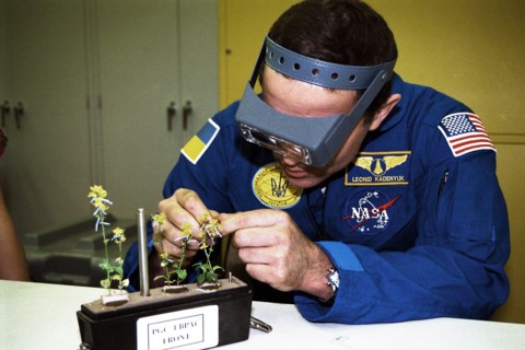 STS-87 Payload Specialist Leonid Kadenyuk of the National Space Agency of Ukraine (NSAU) ca. 1997