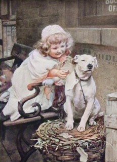 little girl gives the domestic dog a biscuit