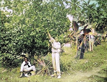 Jamaica