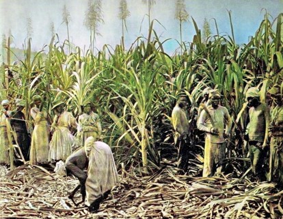Jamaica
