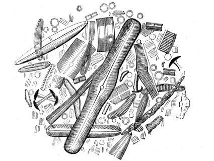 Diatoms or diatoms