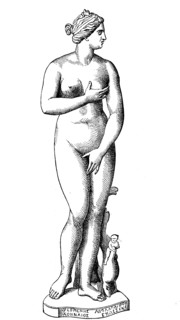 Venus
