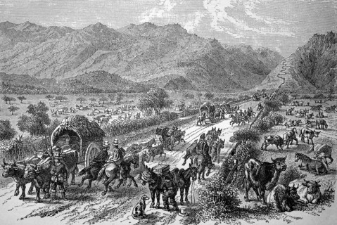 Road traffic in the Andes between Argentina and Chile