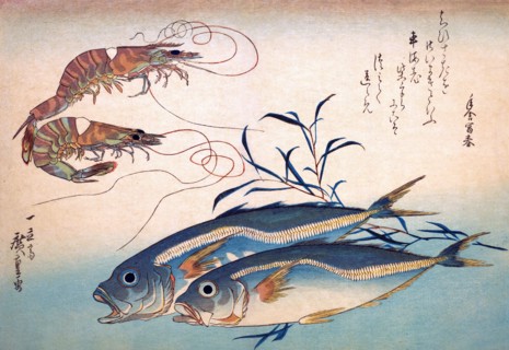 Horse-Mackkerel andd Prawns
