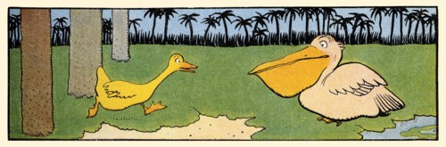 Gedeon Runs to a Pelican