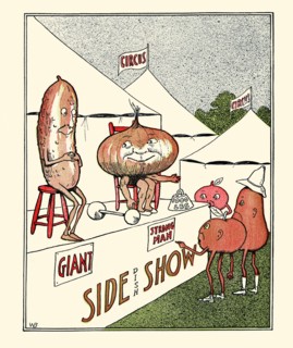At the Side Show