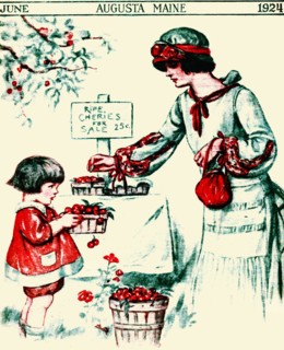 Ripe Cherries for Sale