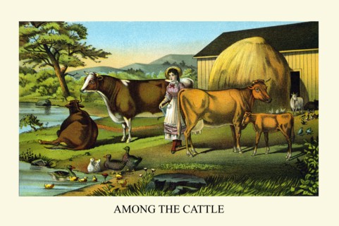 Among the Cattle