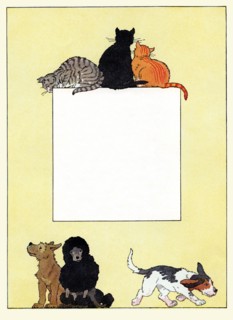 Cats & Dogs