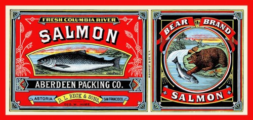 Bear Brand Salmon
