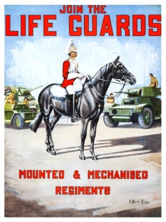 Join the Life Guards