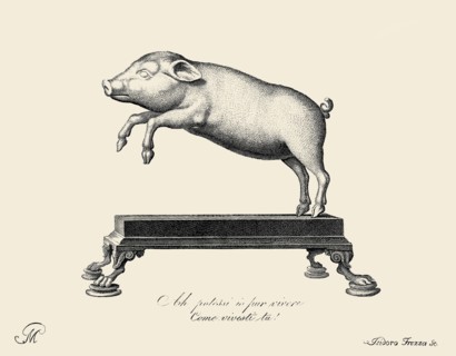 Lively Leaping Pig