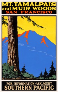 Mt. Tamalpais and Muir Woods, San Francisco