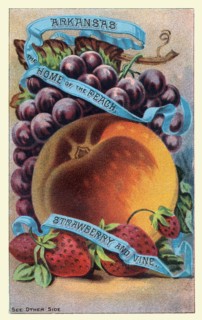 Arkansas, the home of the peach, strawberry and vine.