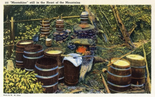 Moonshine still