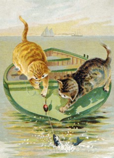 Cat Fishing