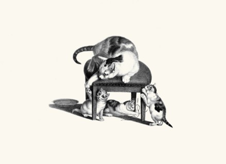 Cat on Stool