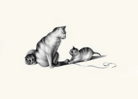 Playing with String
