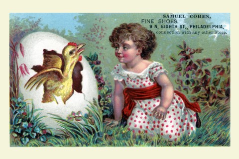 Samuel Cohen - Hatching