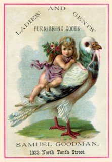 Samuel Goodman - Pigeon Riding