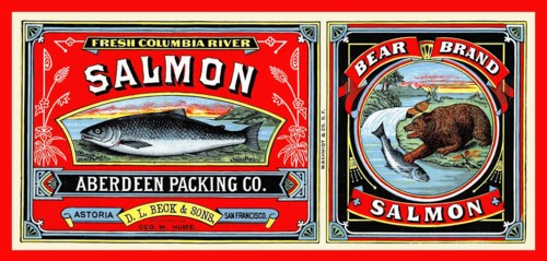 Bear Brand Salmon
