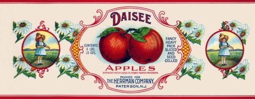 Daisee Apples