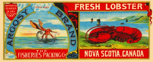 Argosy Brand Fresh Lobster