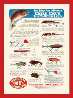 Creek Chub Baits Catch More Fish