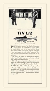 Tin Liz