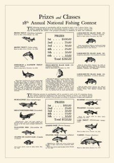 Prizes and Classes 18th Fishing Contest