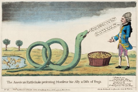 The American Rattlesnake