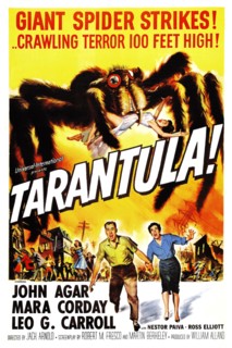 Tarantula
