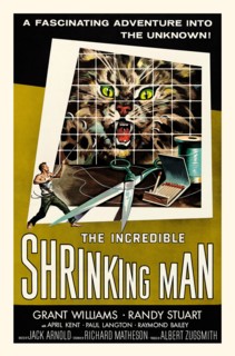 The Incredible Shrinking Man