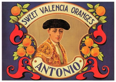 Antonio Sweet Valencia Oranges