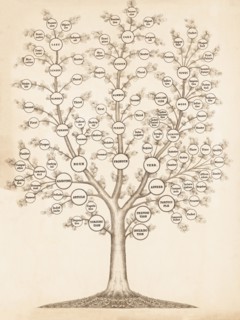 Grammar tree